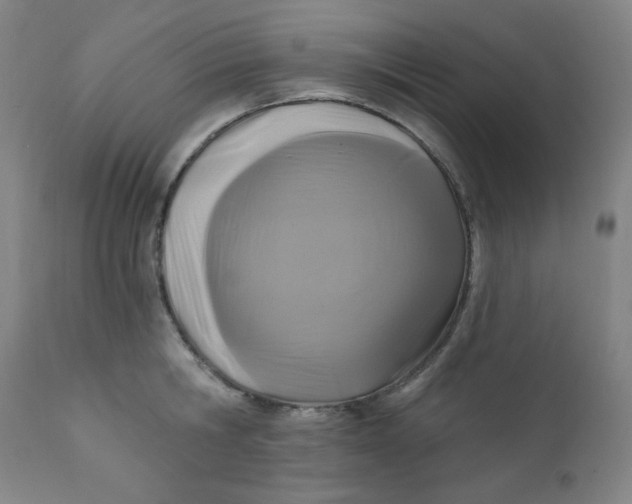 X0000112420806200909041411