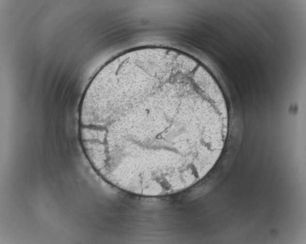 X0000112420807200909041411