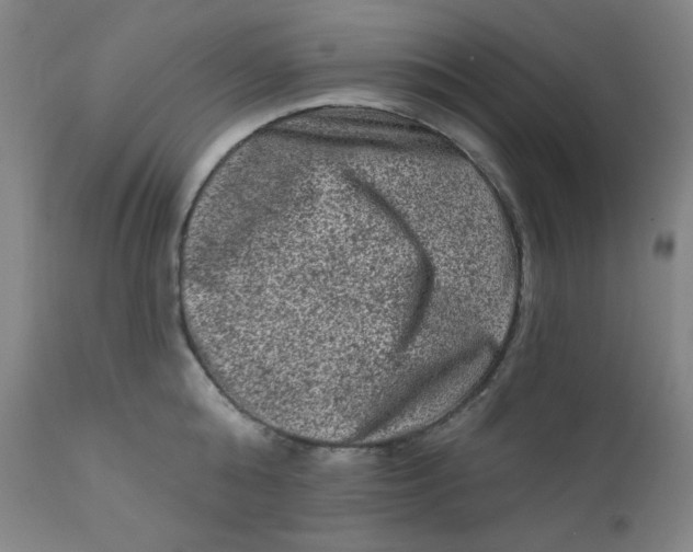 X0000112420808200909041411