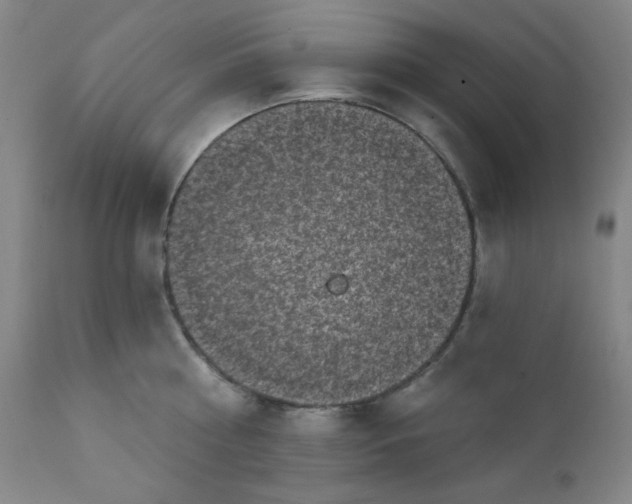 X0000112420810200909041410