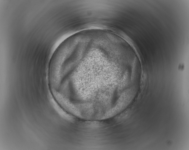 X0000112420811200909041410