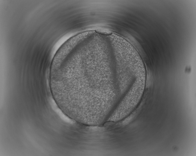 X0000112420812200909041410