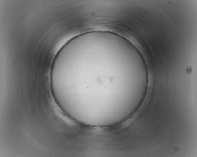 X0000112420814200909041410