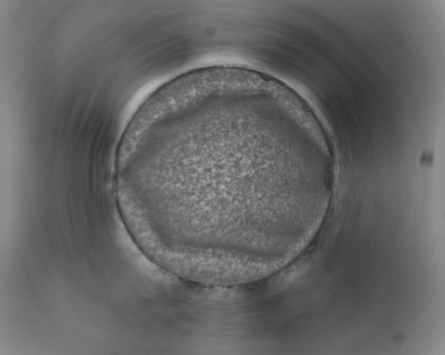 X0000112420815200909041410