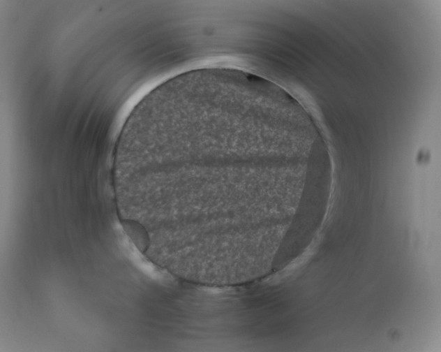 X0000112420816200909041410