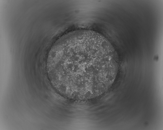 X0000112420817200909041410