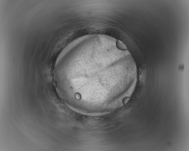 X0000112420819200909041410