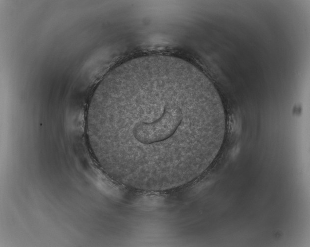 X0000112420820200909041410