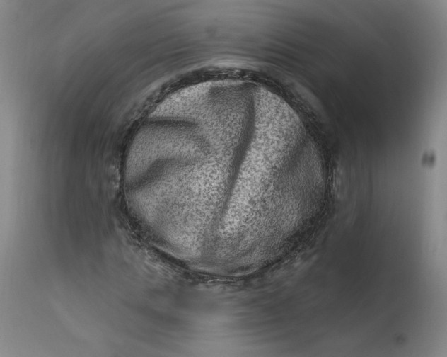 X0000112420821200909041410