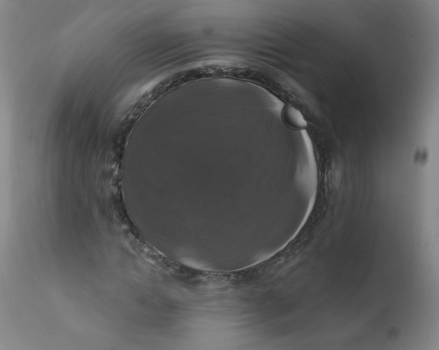 X0000112420822200909041410