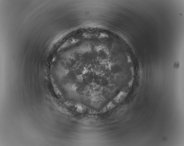 X0000112420823200909041410