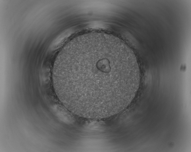 X0000112420824200909041410