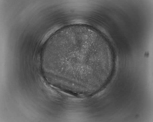 X0000112420825200909041410