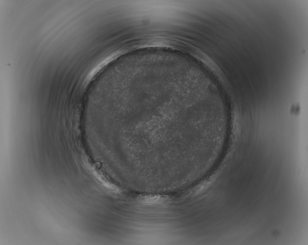 X0000112420826200909041410