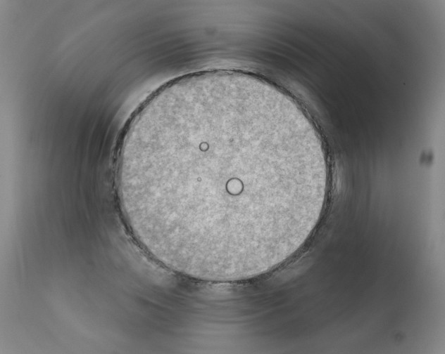 X0000112420828200909041410