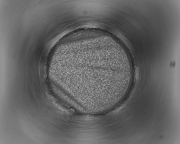 X0000112420829200909041410