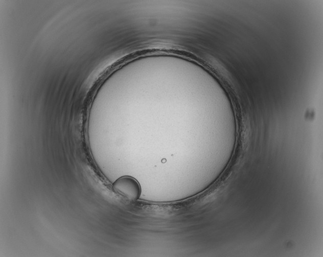 X0000112420831200909041410