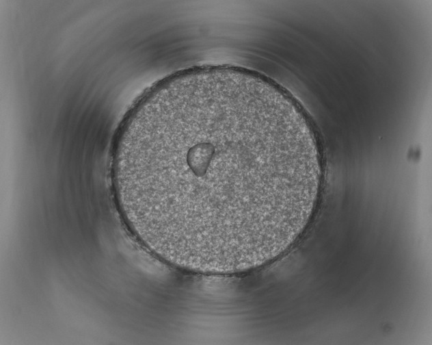 X0000112420832200909041410