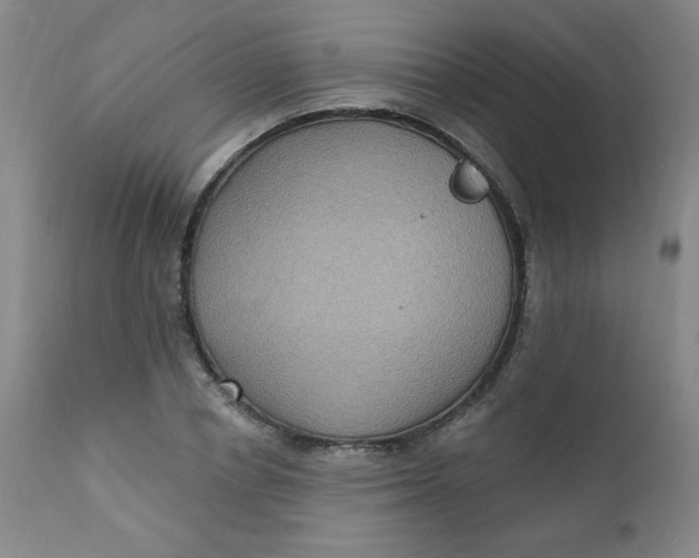 X0000112420834200909041410