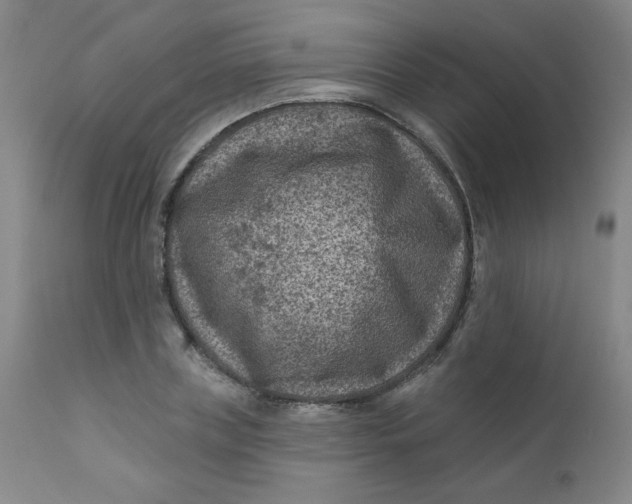 X0000112420835200909041410