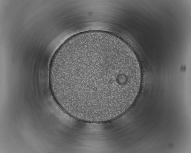 X0000112420836200909041410