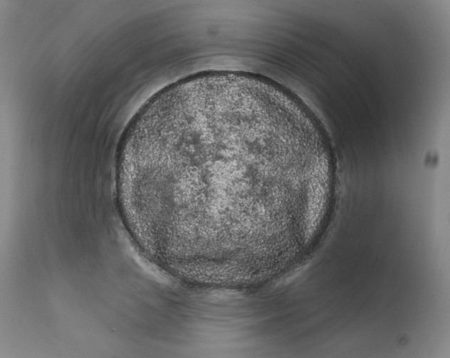 X0000112420837200909041410