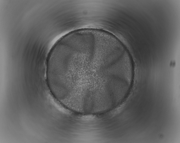 X0000112420838200909041410