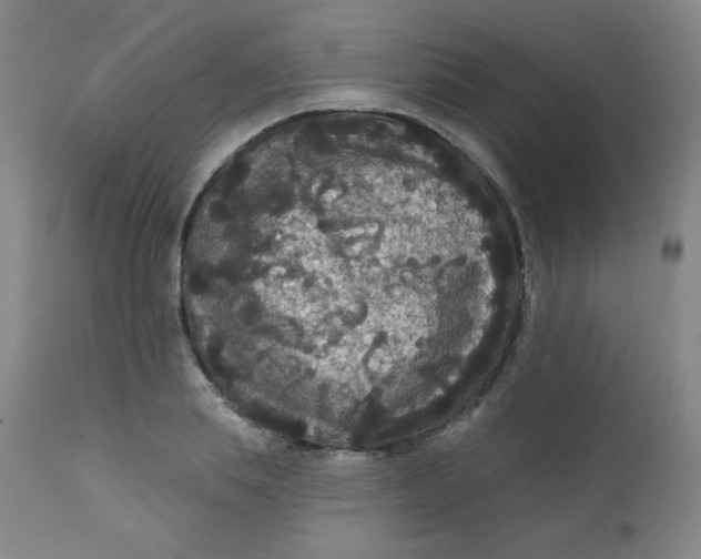 X0000112420839200909041410