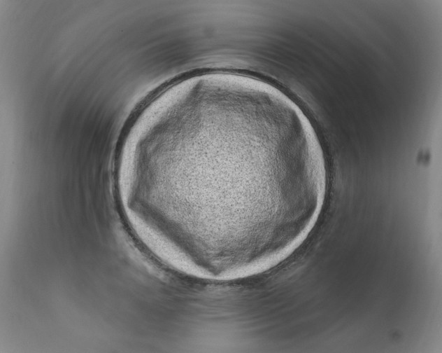 X0000112420840200909041410