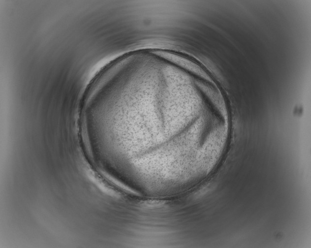 X0000112420846200909041410