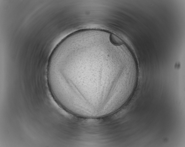 X0000112420847200909041410