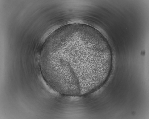 X0000112420849200909041410