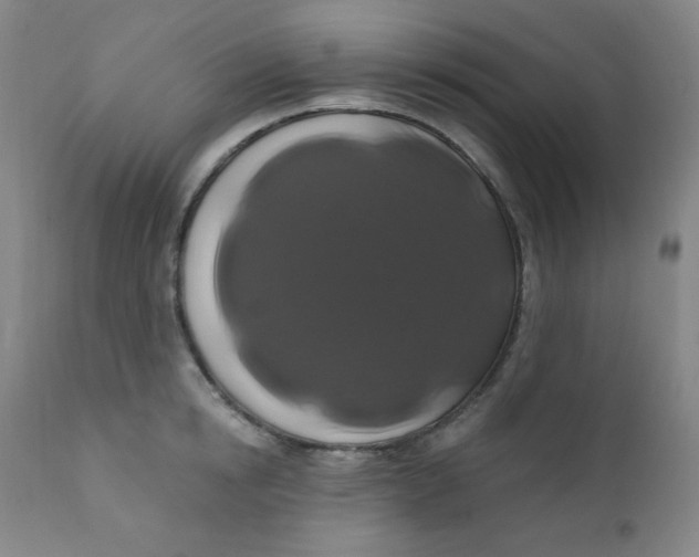 X0000112420854200909041410