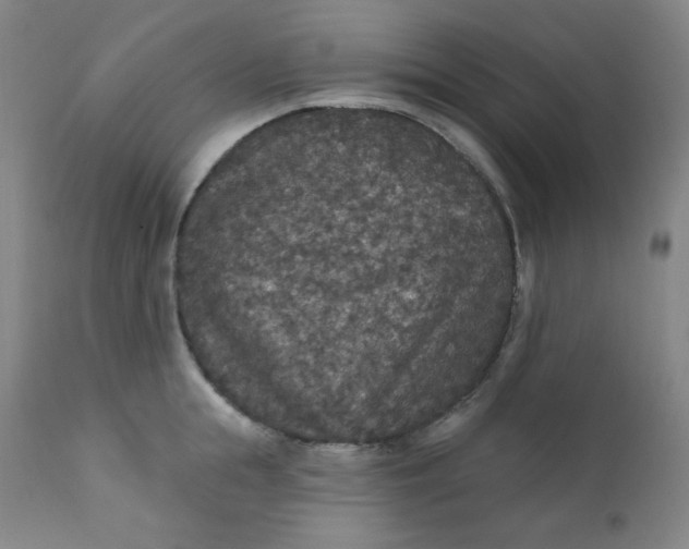 X0000112420855200909041410