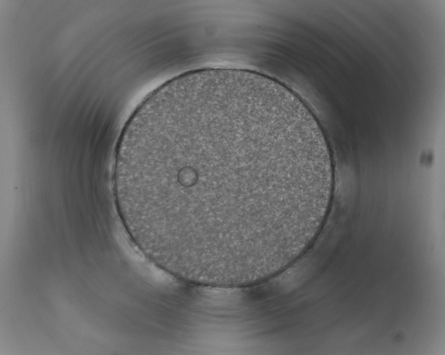 X0000112420856200909041410