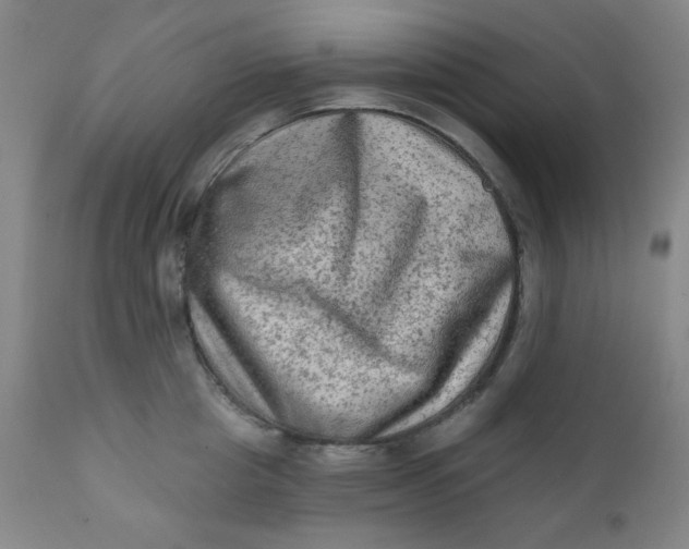 X0000112420857200909041410