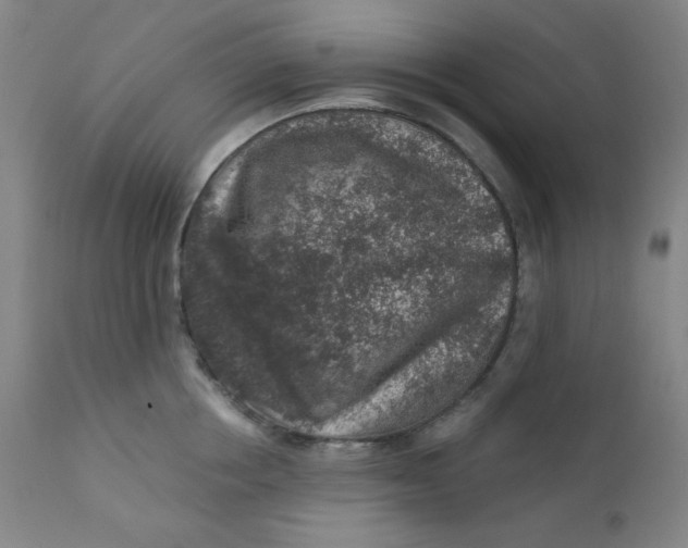 X0000112420858200909041410