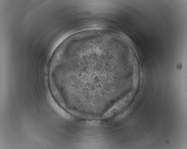 X0000112420859200909041410