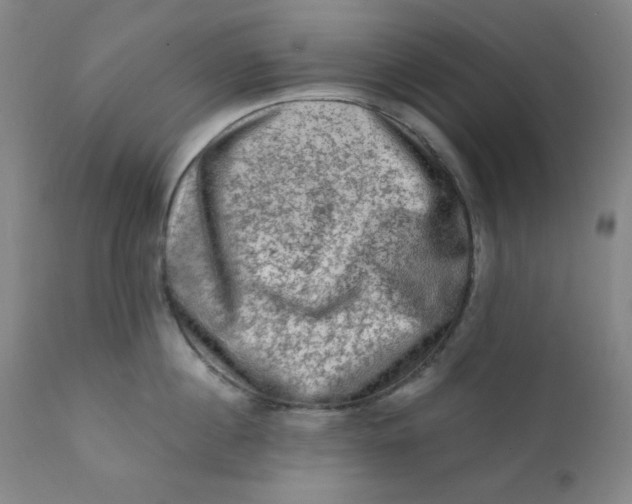 X0000112420860200909041410