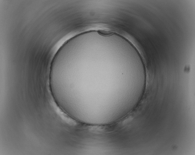 X0000112420861200909041410