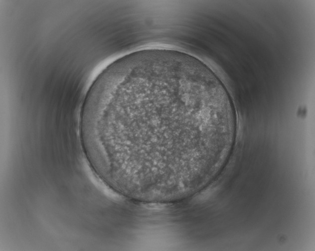 X0000112420862200909041410