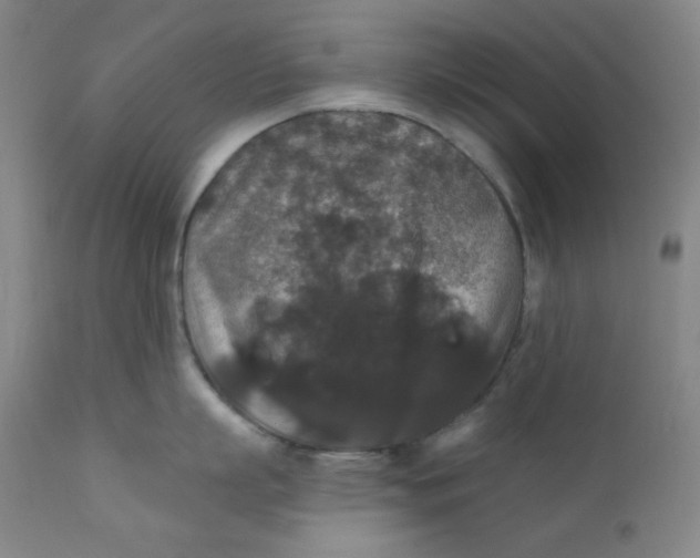 X0000112420863200909041410