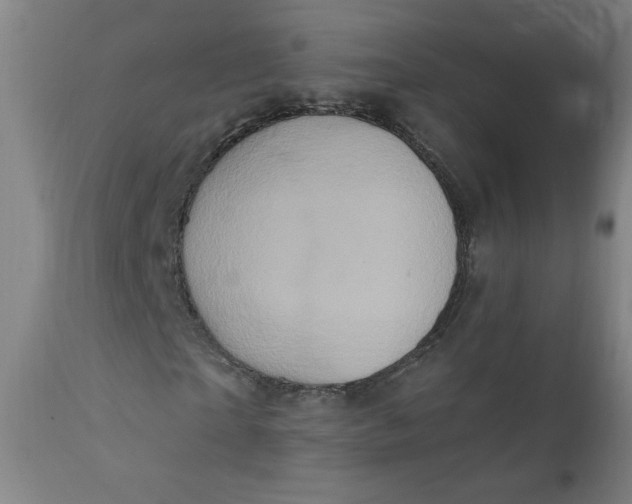 X0000112420865200909041410