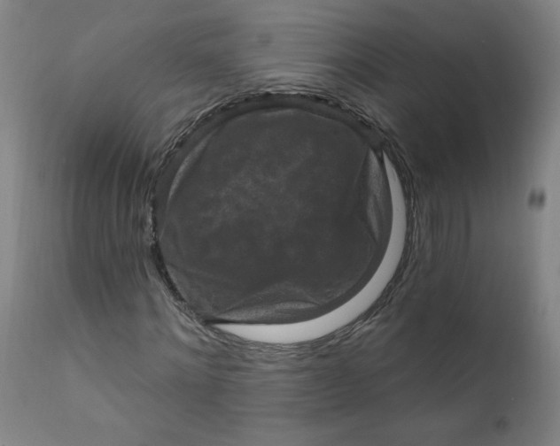 X0000112420868200909041410