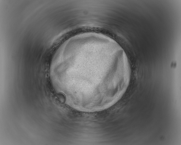 X0000112420870200909041410