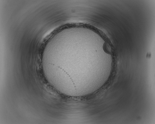 X0000112420871200909041410