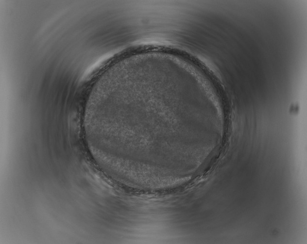 X0000112420872200909041410