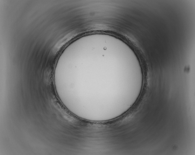 X0000112420873200909041410