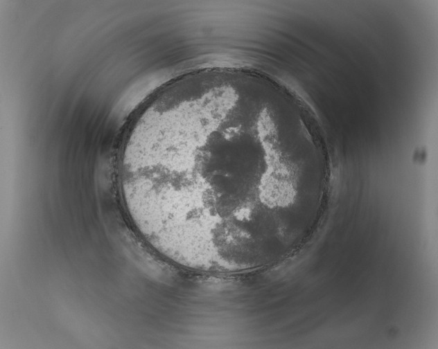 X0000112420874200909041410