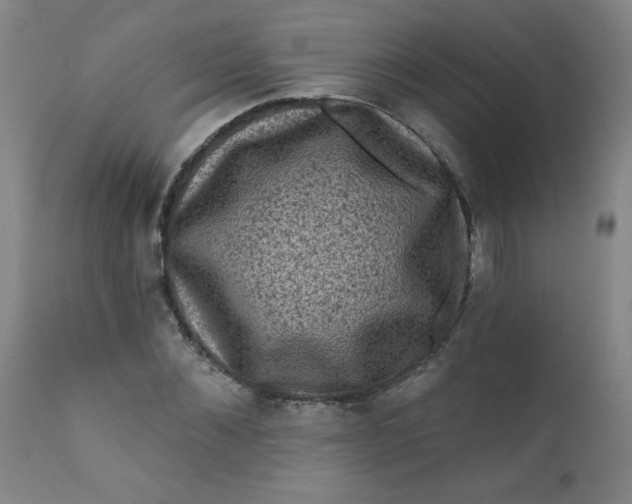 X0000112420876200909041410